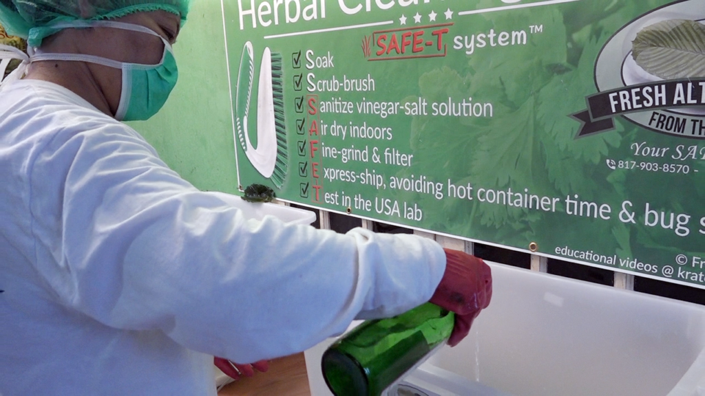 Fresh Alternatives, LLC, Dallas, Fort Worth, This is our "SAFE-T" Kratom Cleaning Processs in Indonesia
