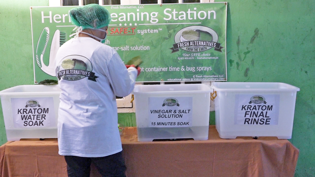 Fresh Alternatives, LLC, Dallas, Fort Worth, This is our "SAFE-T" Kratom Cleaning Processs in Indonesia