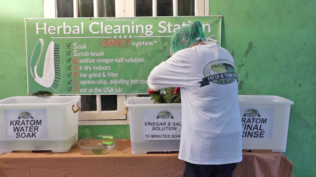 Fresh Alternatives, LLC, Dallas, Fort Worth, This is our "SAFE-T" Kratom Cleaning Processs in Indonesia