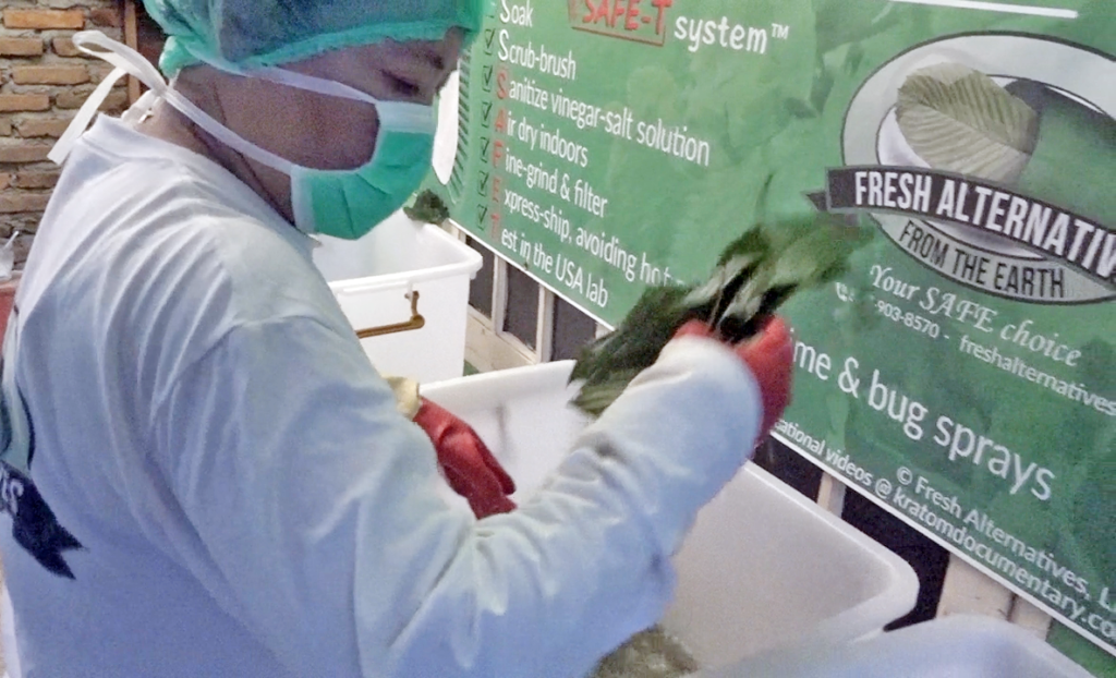 Fresh Alternatives, LLC, Dallas, Fort Worth, This is our "SAFE-T" Kratom Cleaning Processs in Indonesia