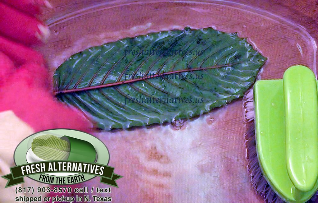 Fresh Alternatives LLC Kratom Cleaning process in Indonesia