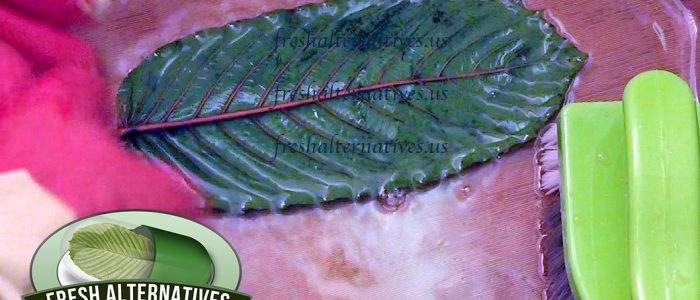 Fresh Alternatives LLC Kratom Cleaning process in Indonesia